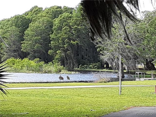 4525 N Grass Island Terrace, Hernando, FL 34442