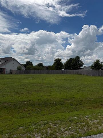 165 Prairie Drive, Branson, MO 65616