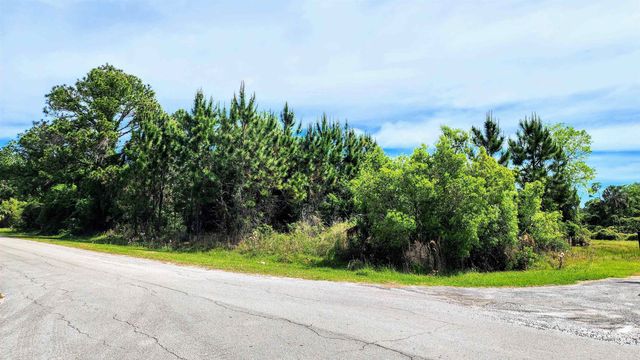 TBD Palm Way and Gardenia Ave, Georgetown, FL 32139