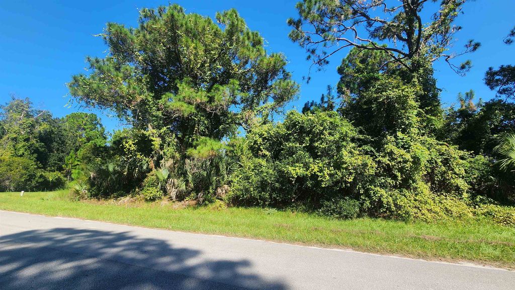 TBD Palm Way and Gardenia Ave, Georgetown, FL 32139