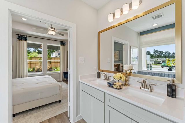 25486 Blue Mistflower Drive, Montgomery, TX 77316