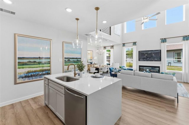 25486 Blue Mistflower Drive, Montgomery, TX 77316