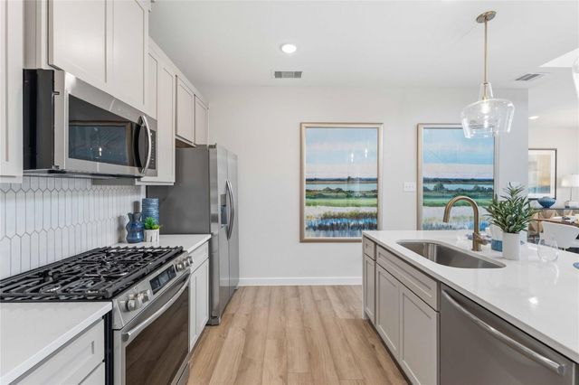 25486 Blue Mistflower Drive, Montgomery, TX 77316