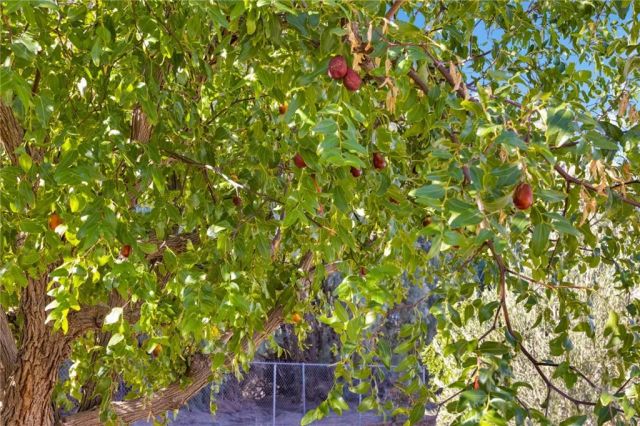 10099 Highland Avenue, Lucerne Valley, CA 92356