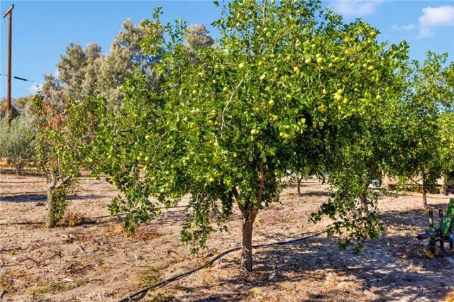 10099 Highland Avenue, Lucerne Valley, CA 92356