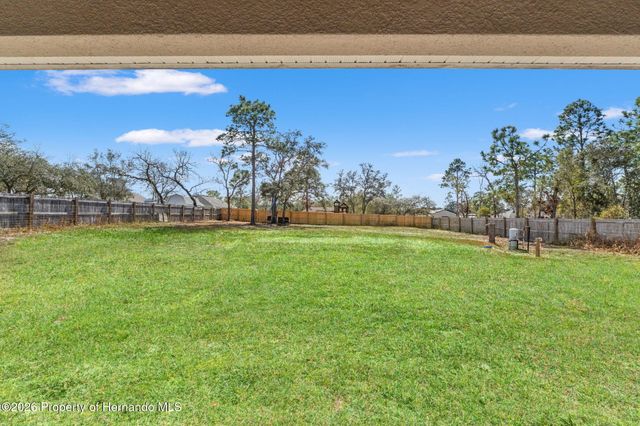 11428 Pelican Avenue, Brooksville, FL 34614