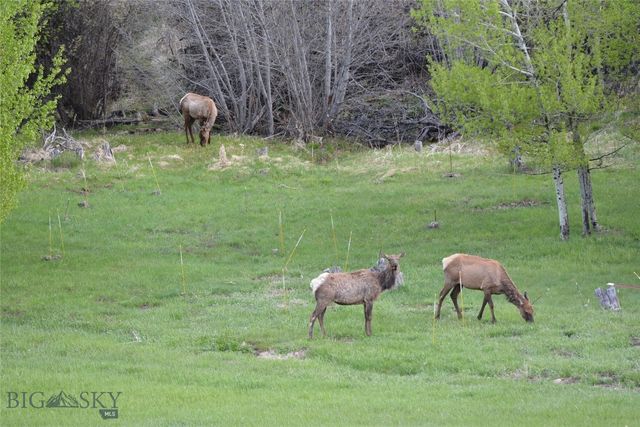 8407 Little Gully Run, Bozeman, MT 59715