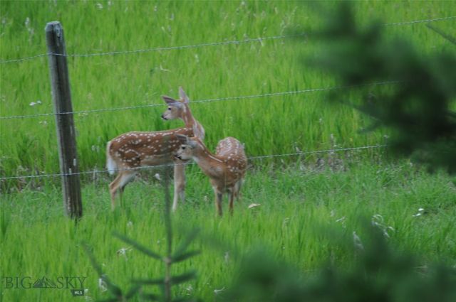 8407 Little Gully Run, Bozeman, MT 59715