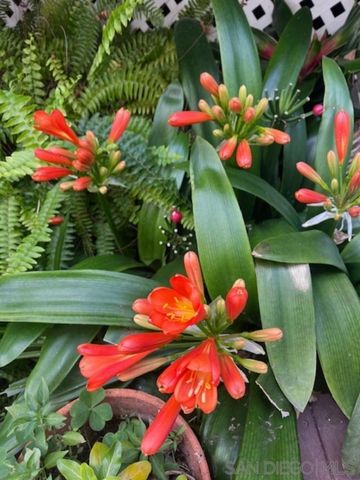 1772 GUY ST, San Diego, CA 92110