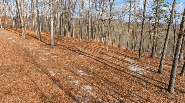 Tract 2 Hwy 196, Nancy, KY 42544