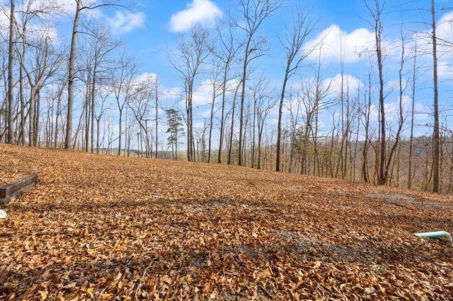 Tract 2 Hwy 196, Nancy, KY 42544