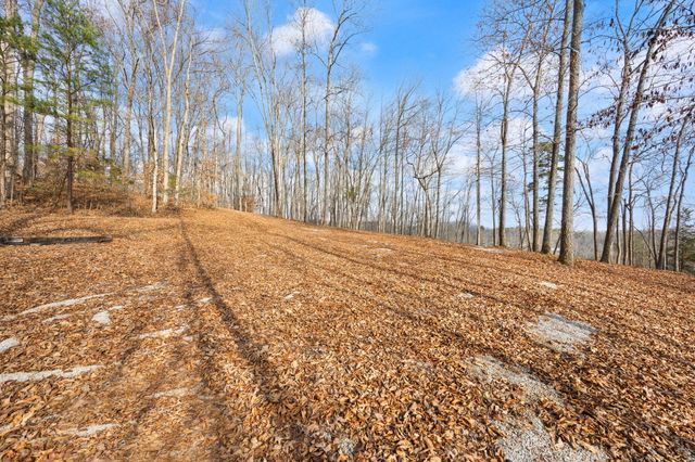 Tract 2 Hwy 196, Nancy, KY 42544
