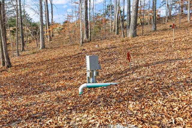 Tract 2 Hwy 196, Nancy, KY 42544