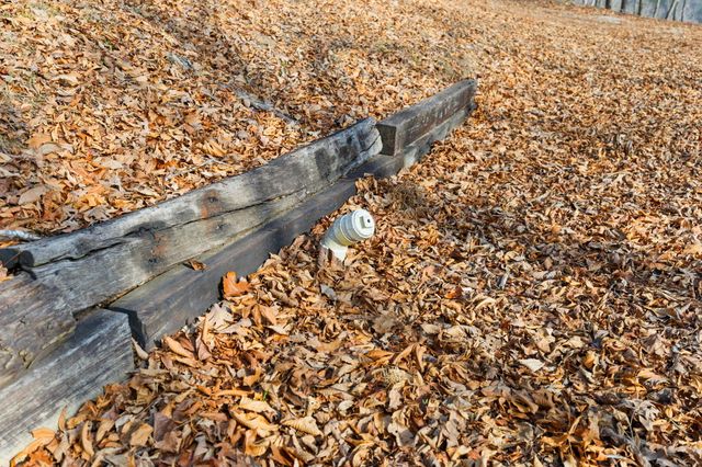 Tract 2 Hwy 196, Nancy, KY 42544