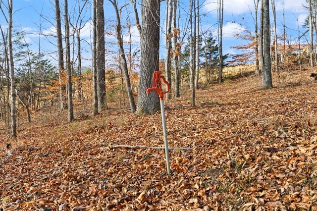 Tract 2 Hwy 196, Nancy, KY 42544