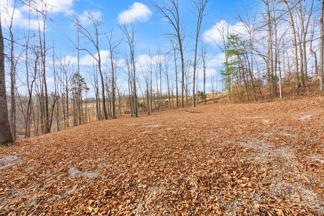 Tract 2 Hwy 196, Nancy, KY 42544