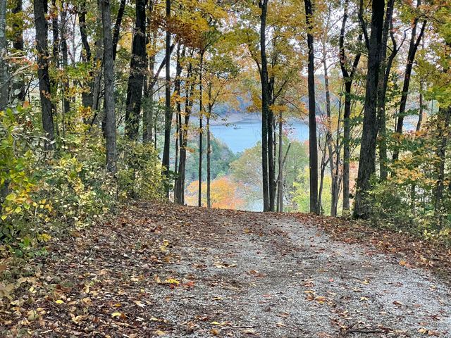 Tract 2 Hwy 196, Nancy, KY 42544