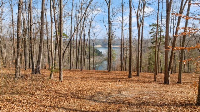 Tract 2 Hwy 196, Nancy, KY 42544