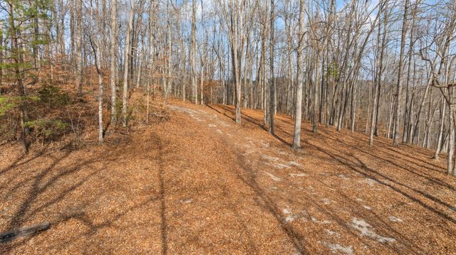 Tract 2 Hwy 196, Nancy, KY 42544