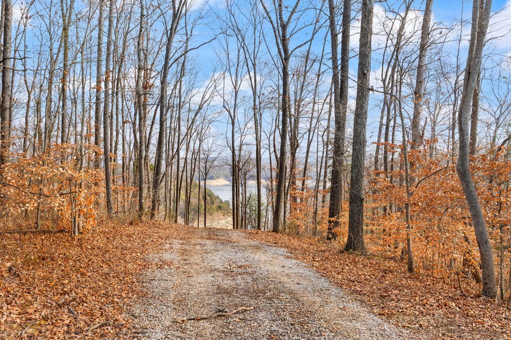 Tract 2 Hwy 196, Nancy, KY 42544