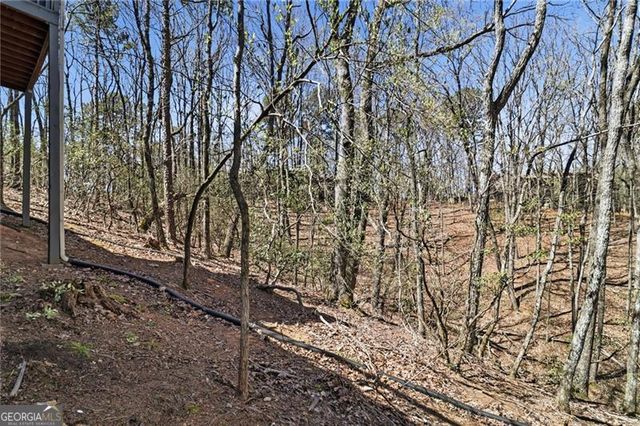 484 Owls Brow, Big Canoe, GA 30143