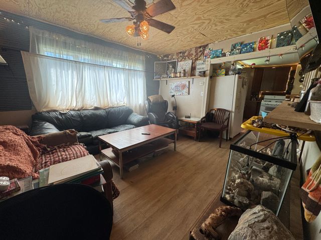 117 E Maple Avenue, Frazee, MN 56544