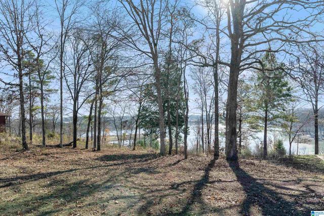 160 OVERLOOK RIDGE, Lincoln, AL 35096
