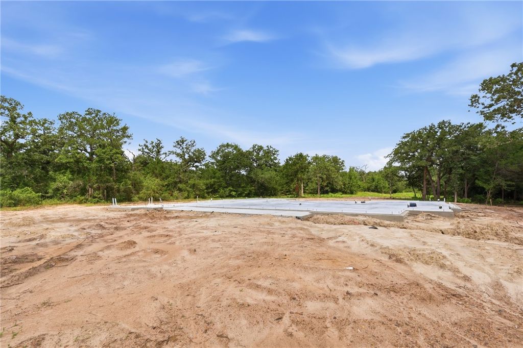 5564 Woodland Park Drive, College Station, TX 77845 — photo 3