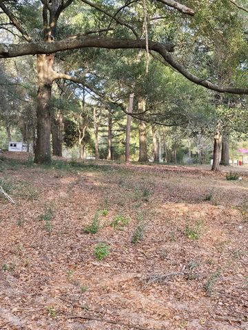 445 Deer Path Farms Road, Ozark, AL 36360