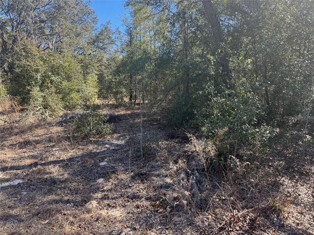 Lots 19-24 NW 16TH PLACE, Ocala, FL 34482