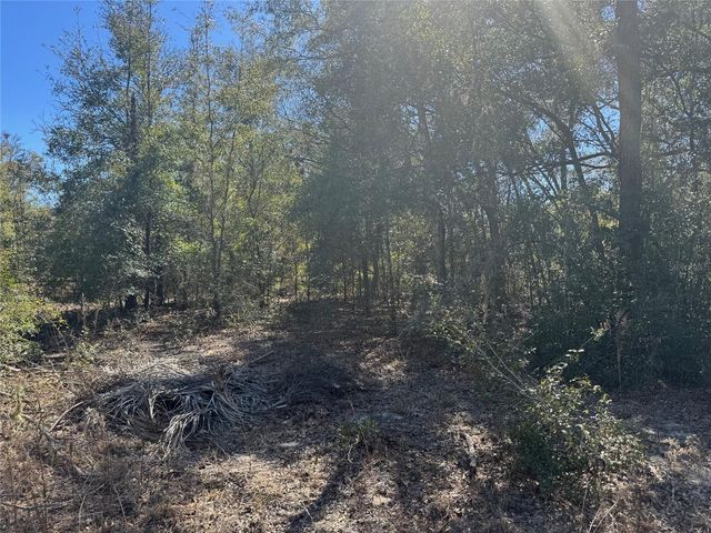 Lots 19-24 NW 16TH PLACE, Ocala, FL 34482