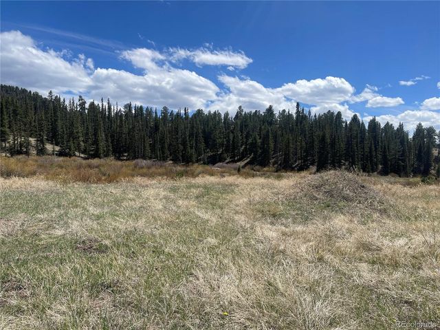 00 Wildhorn Road, Florissant, CO 80816