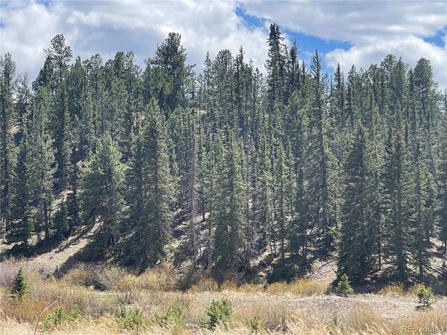 00 Wildhorn Road, Florissant, CO 80816