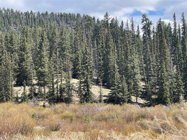 00 Wildhorn Road, Florissant, CO 80816