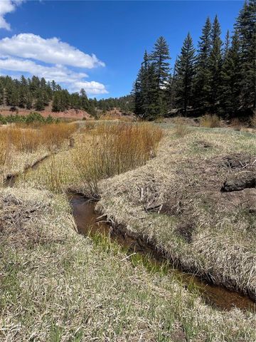00 Wildhorn Road, Florissant, CO 80816