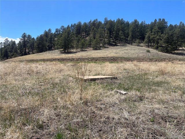 00 Wildhorn Road, Florissant, CO 80816