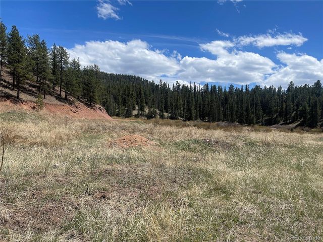 00 Wildhorn Road, Florissant, CO 80816