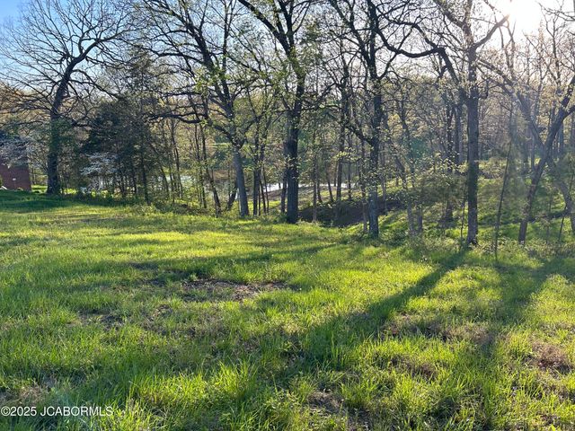 LOT 6 BIRDIE HILL ROAD, Holts Summit, MO 65043