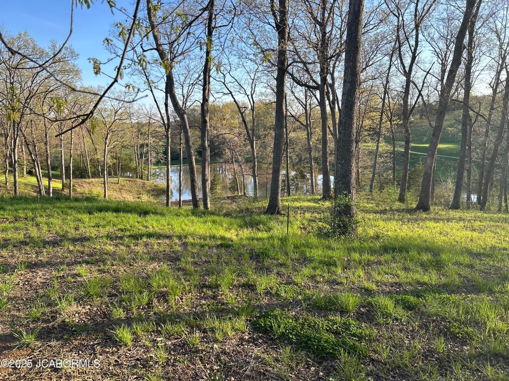 LOT 6 BIRDIE HILL ROAD, Holts Summit, MO 65043