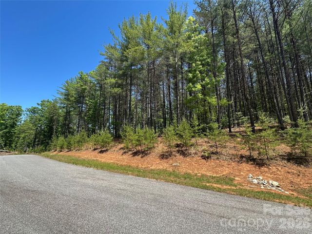 3227 Ella Marie Way, Nebo, NC 28761