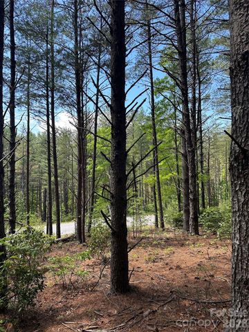 3227 Ella Marie Way, Nebo, NC 28761