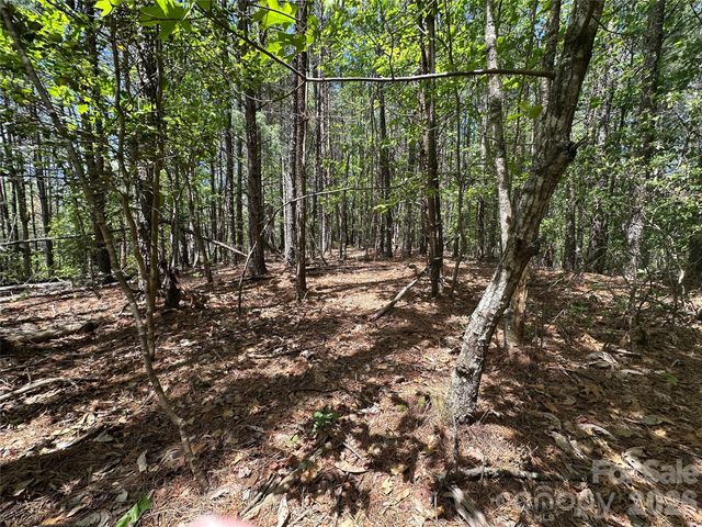 3227 Ella Marie Way, Nebo, NC 28761