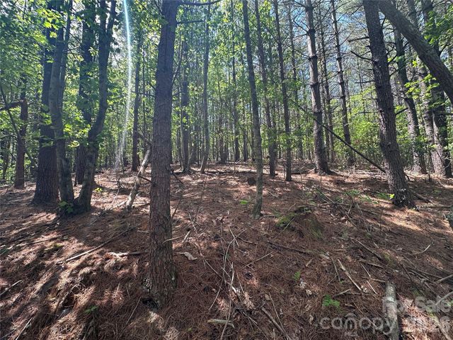 3227 Ella Marie Way, Nebo, NC 28761