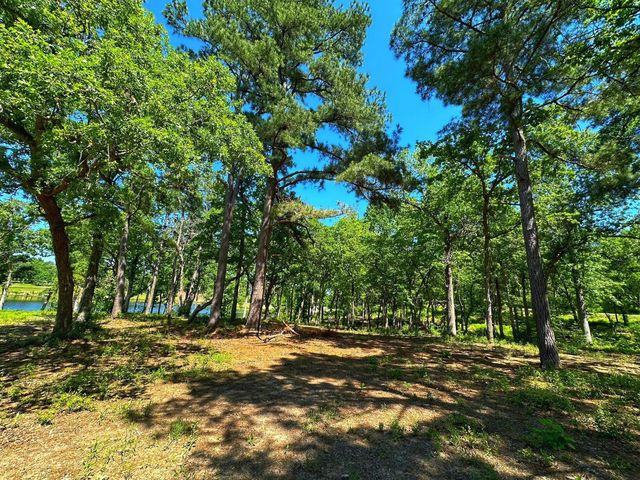 Tract 152 Pr 1311, Centerville, TX 75833