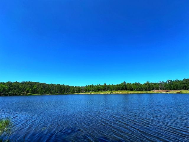 Tract 152 Pr 1311, Centerville, TX 75833