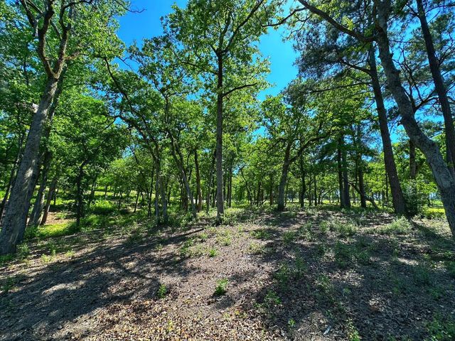 Tract 152 Pr 1311, Centerville, TX 75833