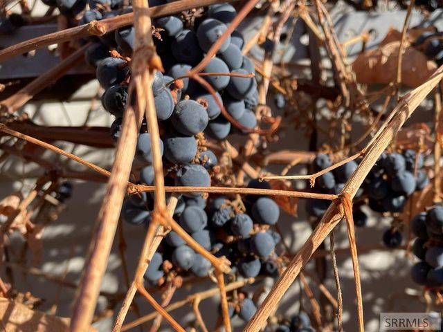 626 Autumn Court, Rexburg, ID 83440