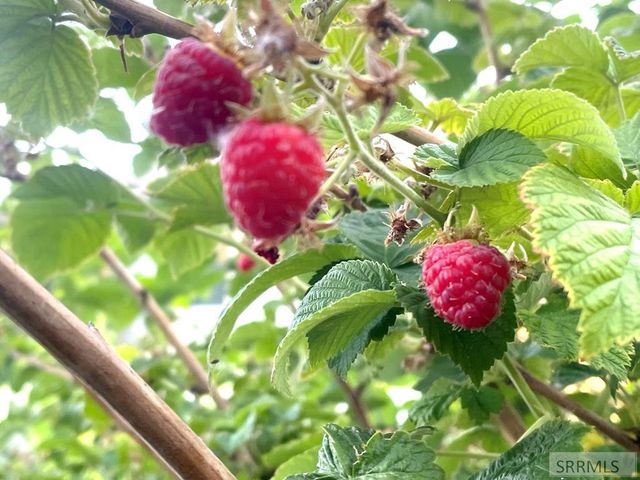 626 Autumn Court, Rexburg, ID 83440