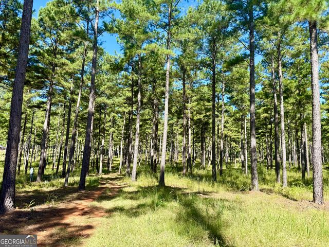 849 Orchard Road, Pine Mountain Valley, GA 31823