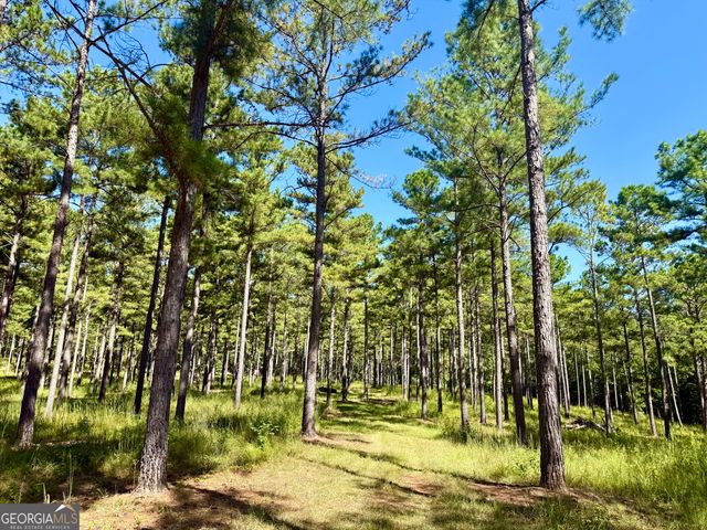 849 Orchard Road, Pine Mountain Valley, GA 31823